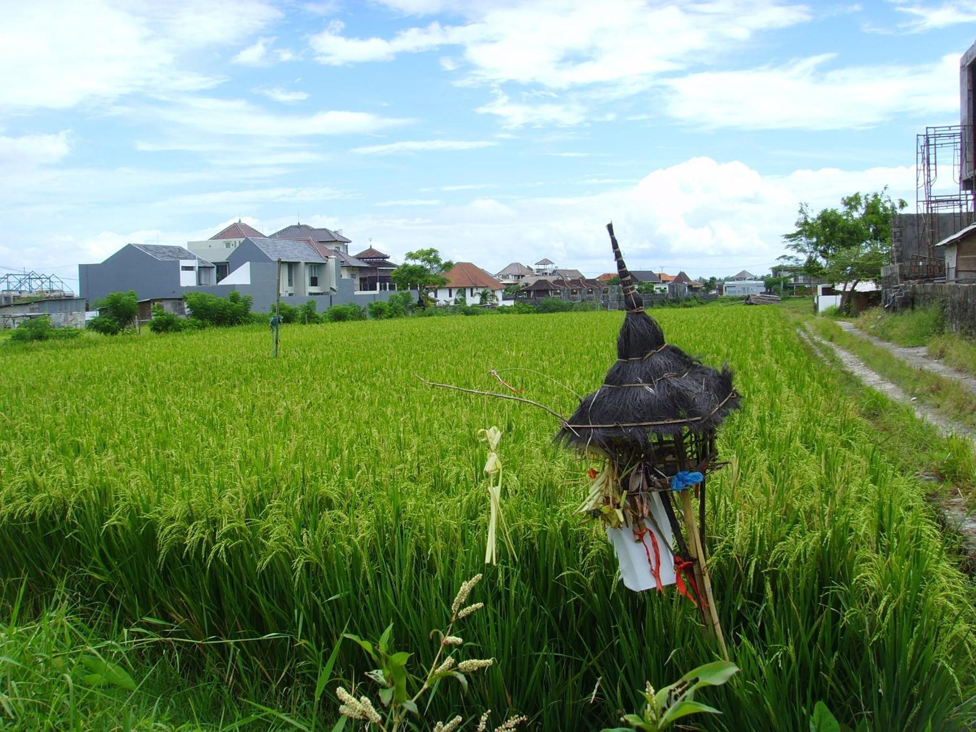 Jonsen Homestay Canggu Exterior foto